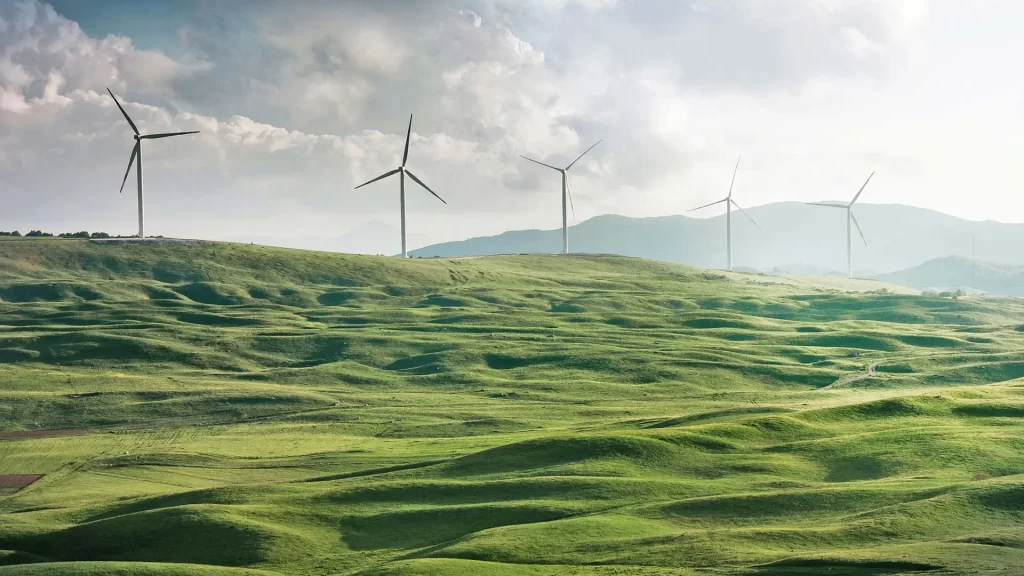 Sustentabilidade Sustentabilidade