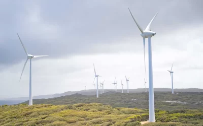 La importancia de los parques eólicos en un contexto de sostenibilidad